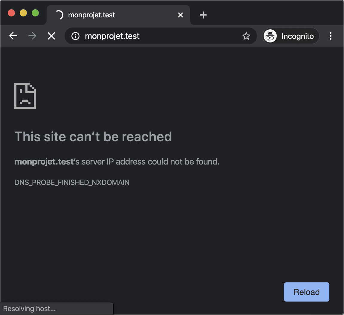 Capture d'écran d'une page web avec un nom de domaine innexistant en erreur DNS