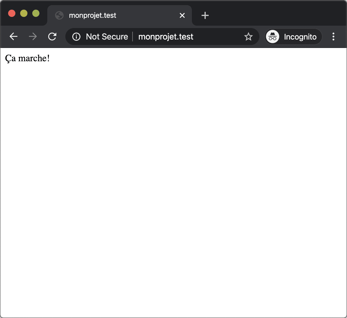 Capture d'écran de la même page web qui pointe via le fichier hosts sur l'adresse IP local